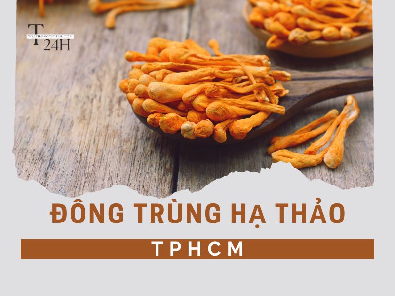 Top 10 Địa Chỉ Bán Đông Trùng Hạ Thảo TPHCM Uy Tín